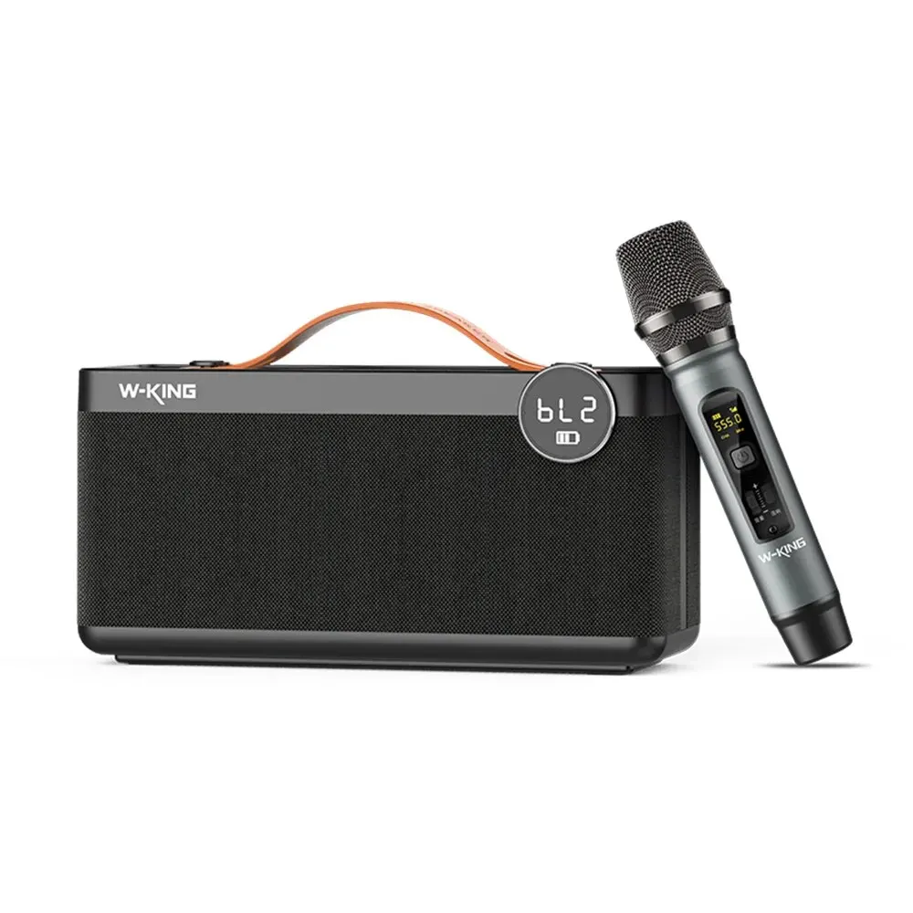 Handheld Portable Mini Card-Insert Karaoke Speaker