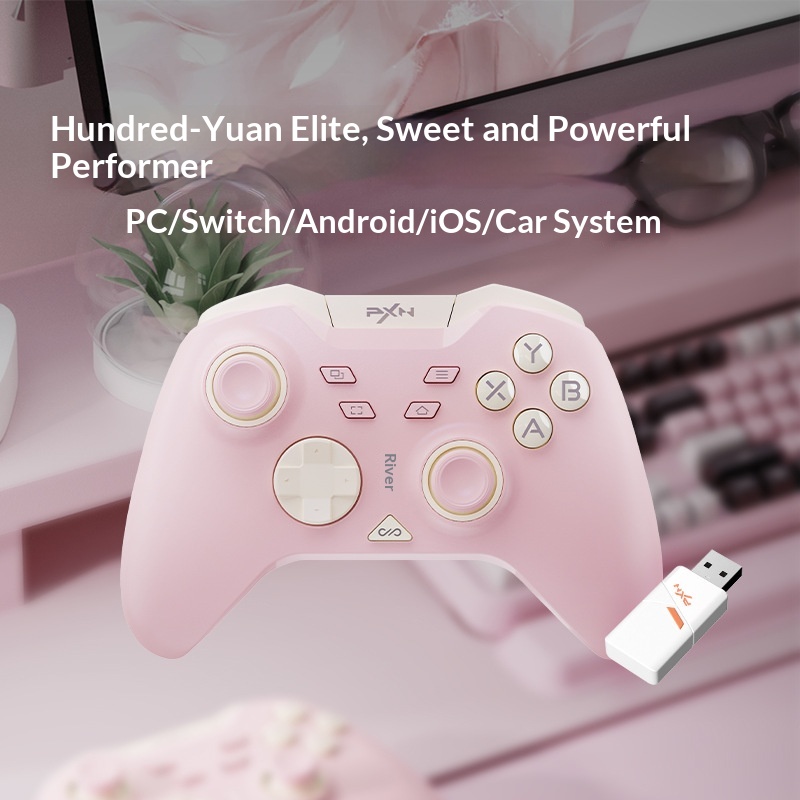 Lay'sda P5 Wireless Game Controller