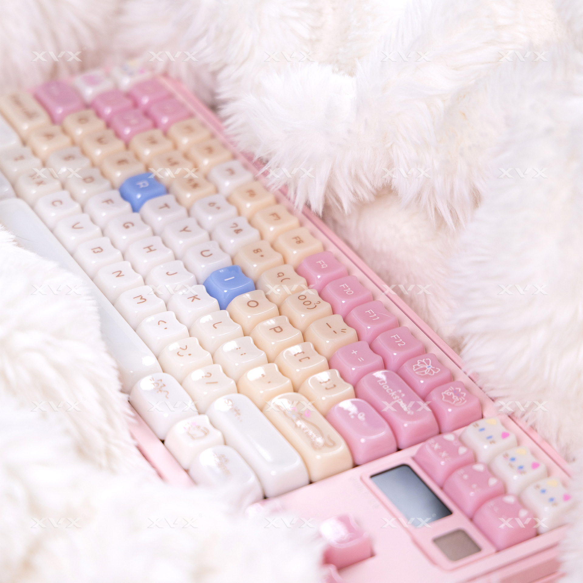 Ragdoll Cat Cute Light-colored Keyboard Caps