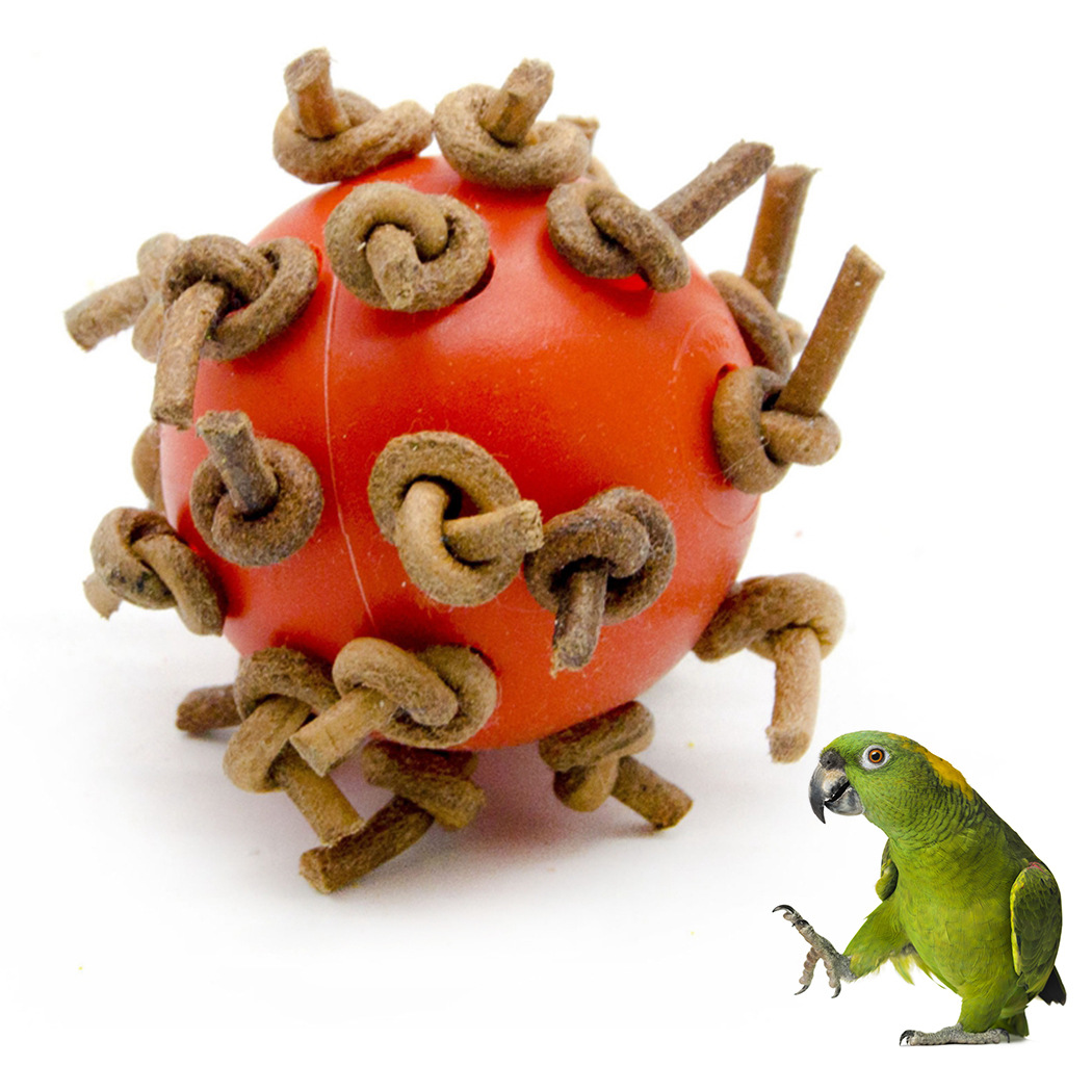 Parrot Plastic Interactive Chewing Ball