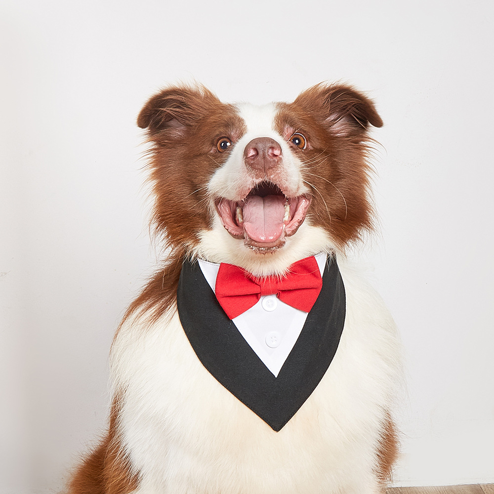 Cotton Velcro Pet Triangular Bandage