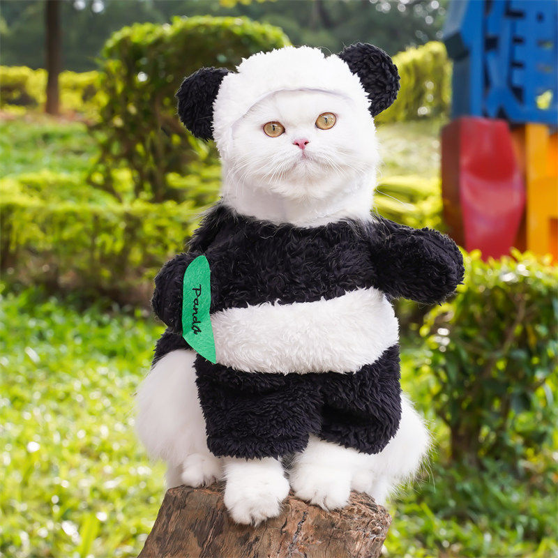 Pet Panda Standing Transformation Costume For Small And Medium-sized Dogs