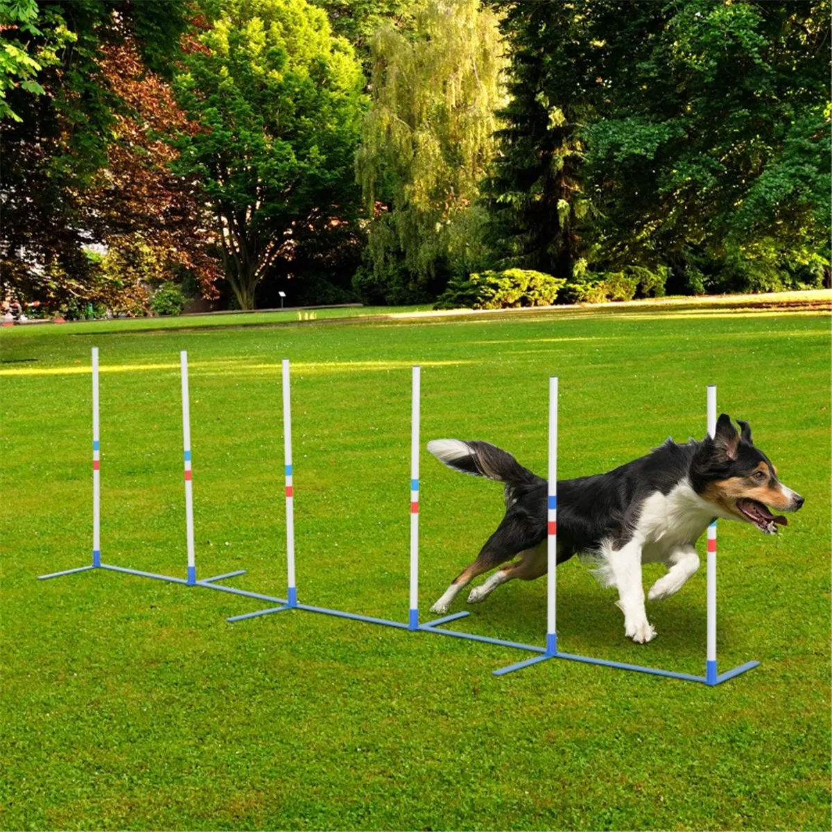 Dog Outdoor Exercise Training Set ( Shipping)(Prohibited by WalMart)