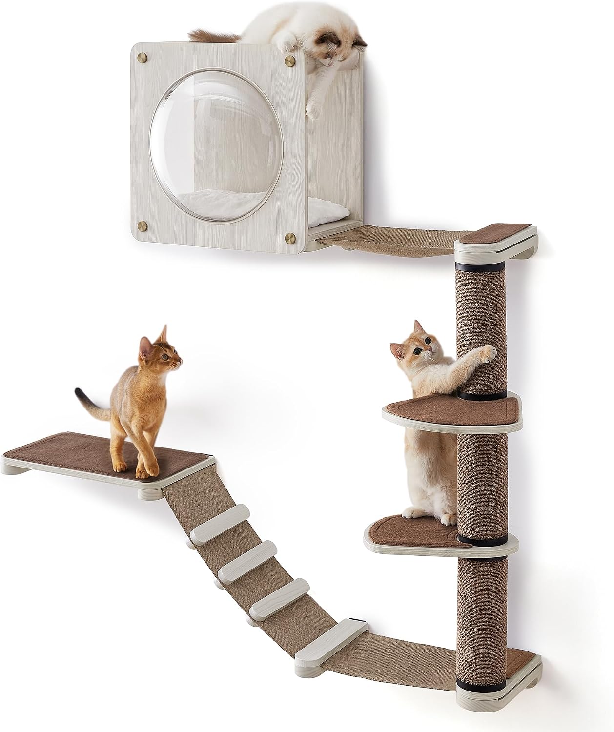 Set Of 5 Clickat Oasis Cat Climbing Wall, Cat Board, Hammock, Scratching Column…