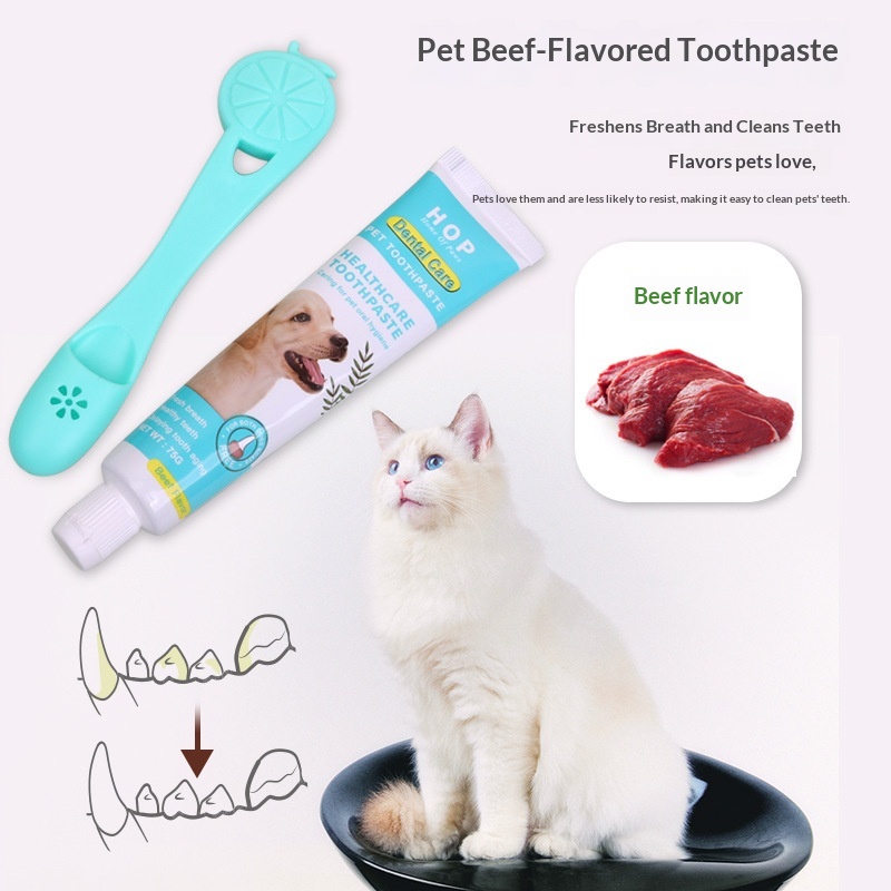 Pet Toothbrush And Toothpaste Set, Beef-flavored For Dogs
