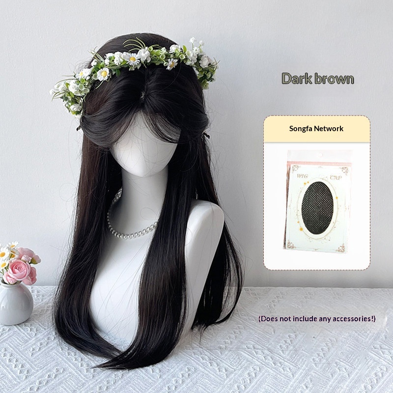 Womens Straight Middle-parted Braided Wig