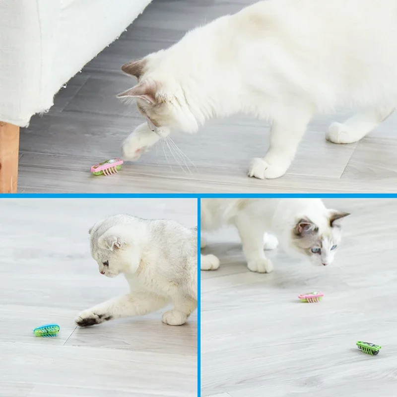 Mini Electric Bug Pet Dog Cat Toy Interactive Cute Ladybird Beetle Animal Shape Cat Toys Walking Insect Cat Playing Supplies photo 6