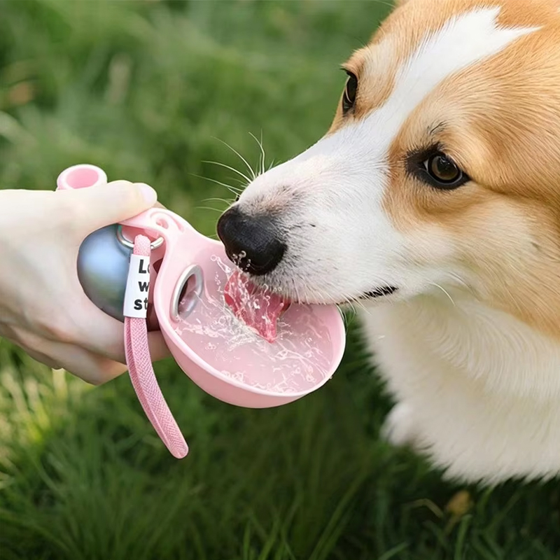 2-in-1 Portable Dog Water Bottle Stainless Steel With Foldable Silicone Bowl photo 7