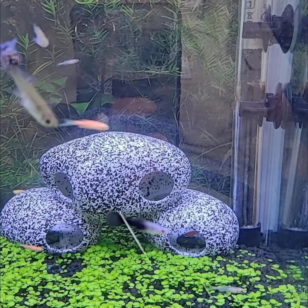 Fish Tank Stone View Decorative Landscaping Fish And Shrimp House Breeding photo 8