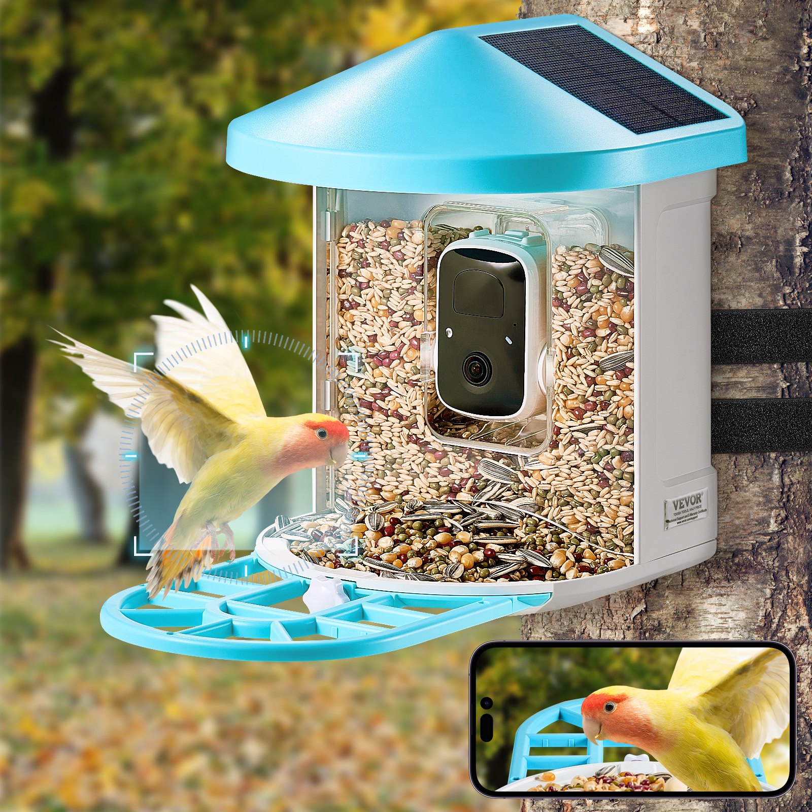 Smart Bird Feeder With Camera AI Identify 10000+ Bird Specie Solar-Powered photo 6