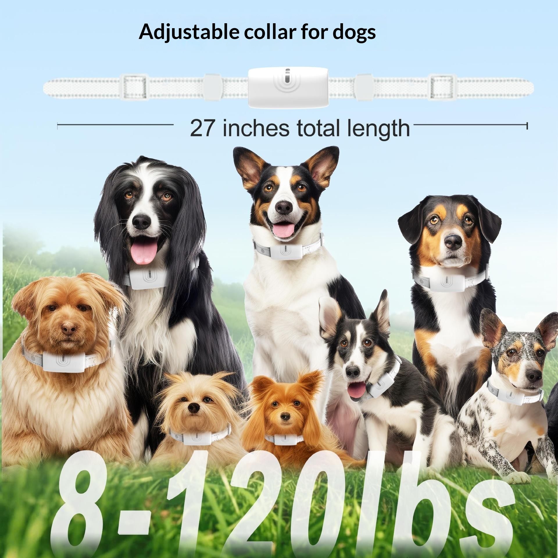 Rechargeable Waterproof Long-Range Remote Dog Training Collar photo 3