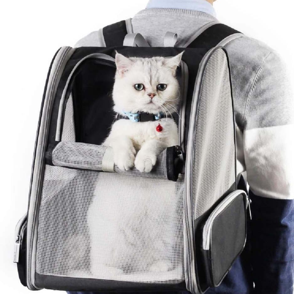 Traveler Bubble Backpack Pet Carriers For Cats And Dogs photo 3