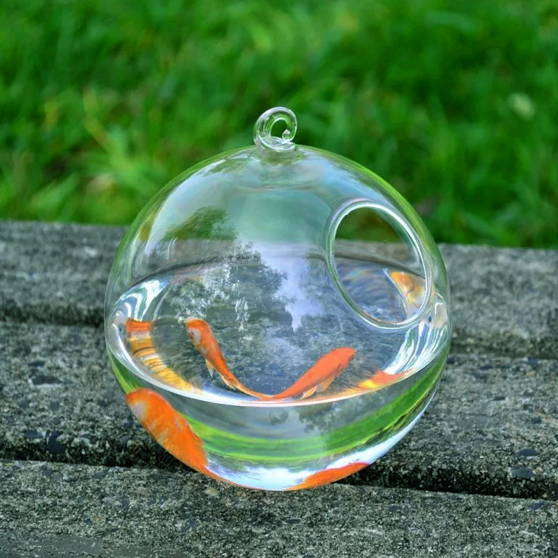 Hanging Glass Vase Fish Tank photo 5