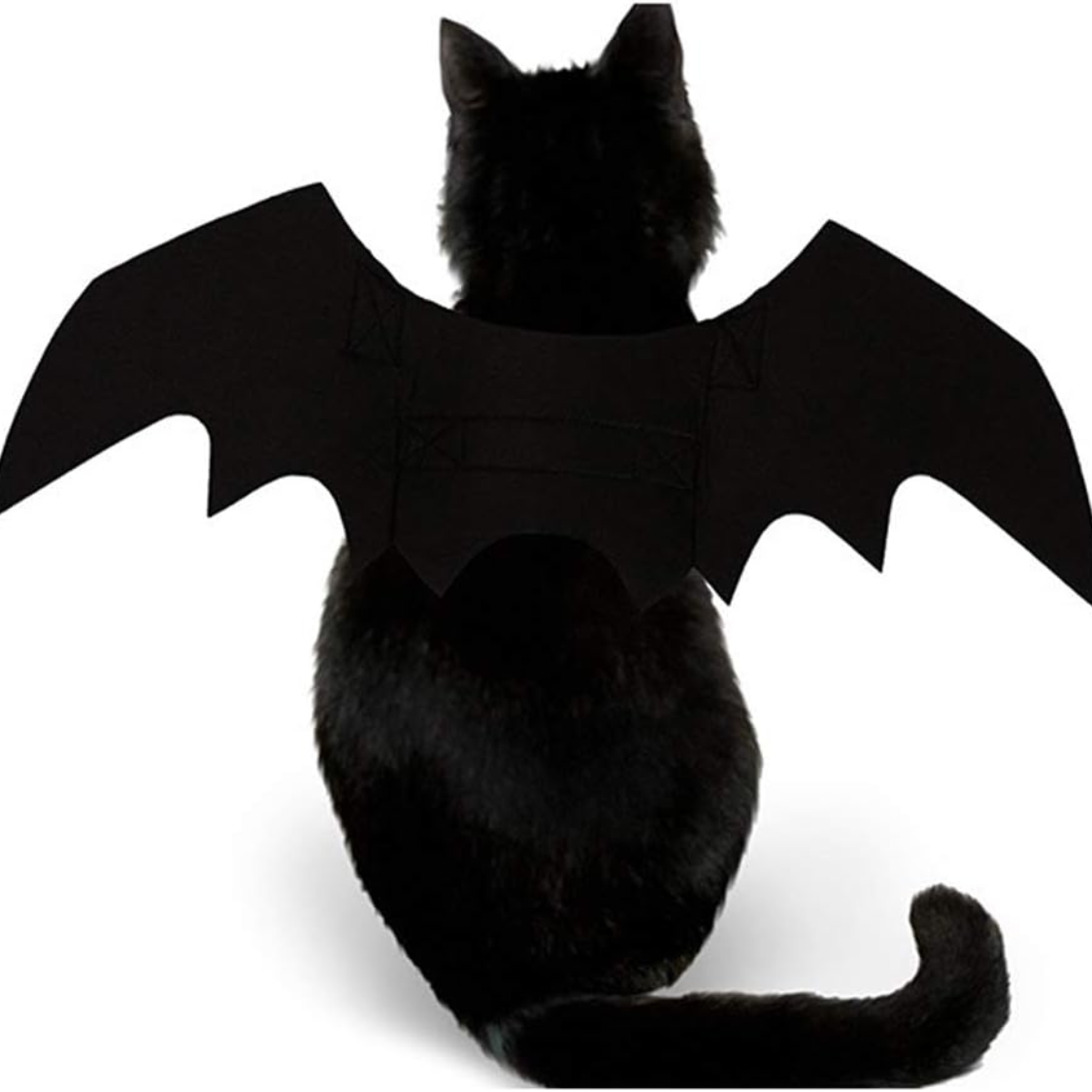 Pet Cat Bat Wings For Halloween Party Decoration, Puppy Collar Leads Cosplay Bat Costume,Cute Puppy Cat Dress Up Accessories photo 3