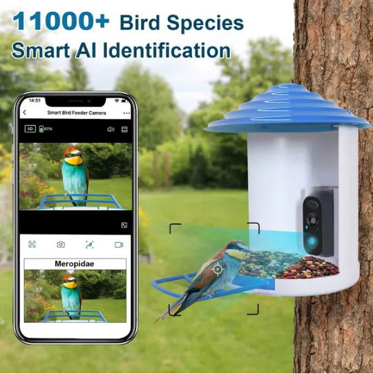 Smart Bird Feeder With Solar Powered Camera 1080P HD AI Identify PIR Motion Auto Capture Video Cloud Card Storage WiFi Connection App Control IP65 Waterproof photo 5
