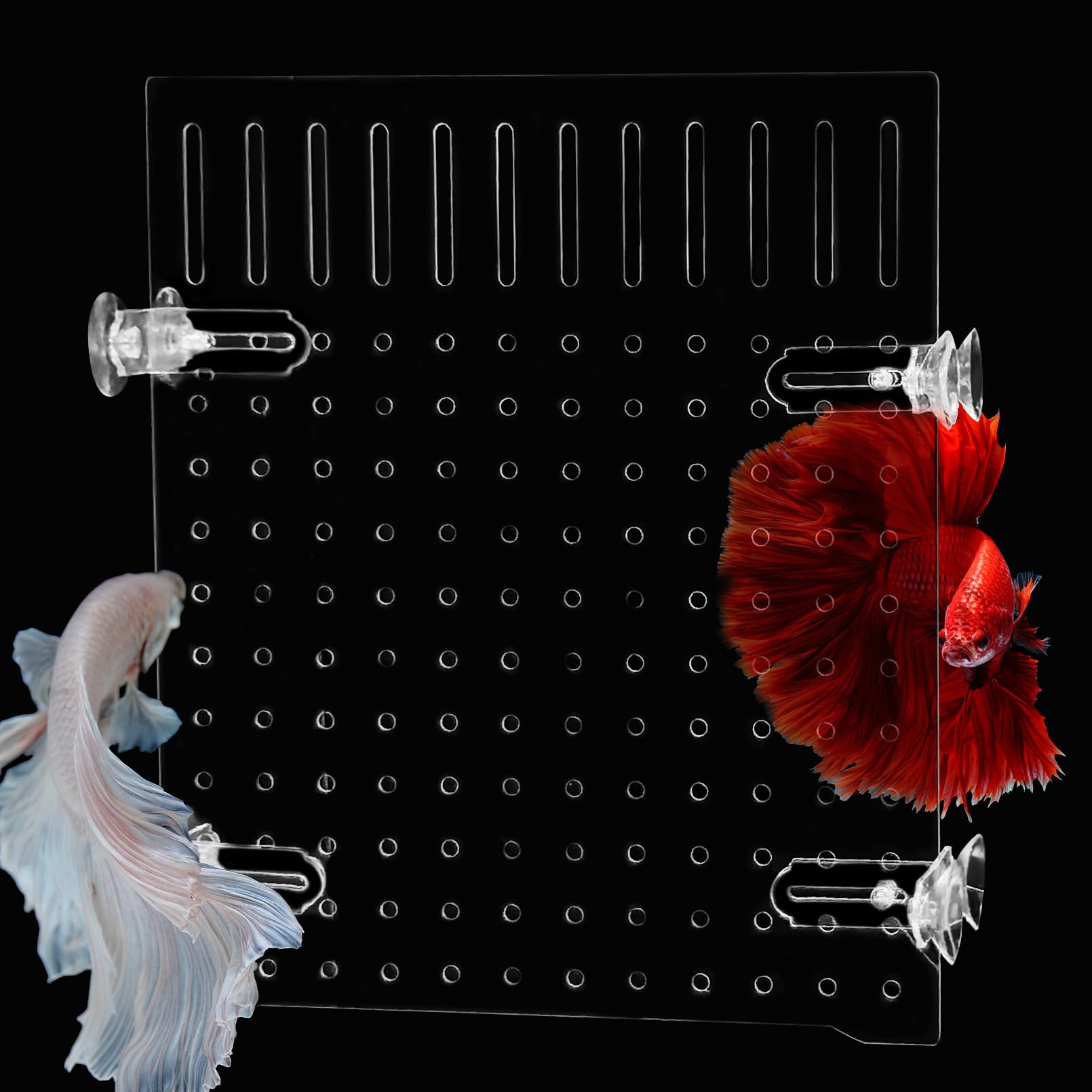 Fish Tank Divider Acrylic Aquarium Divider With 8 PCS Suction Cups, Transparent Fish Tank Separator For Betta Fish photo 1