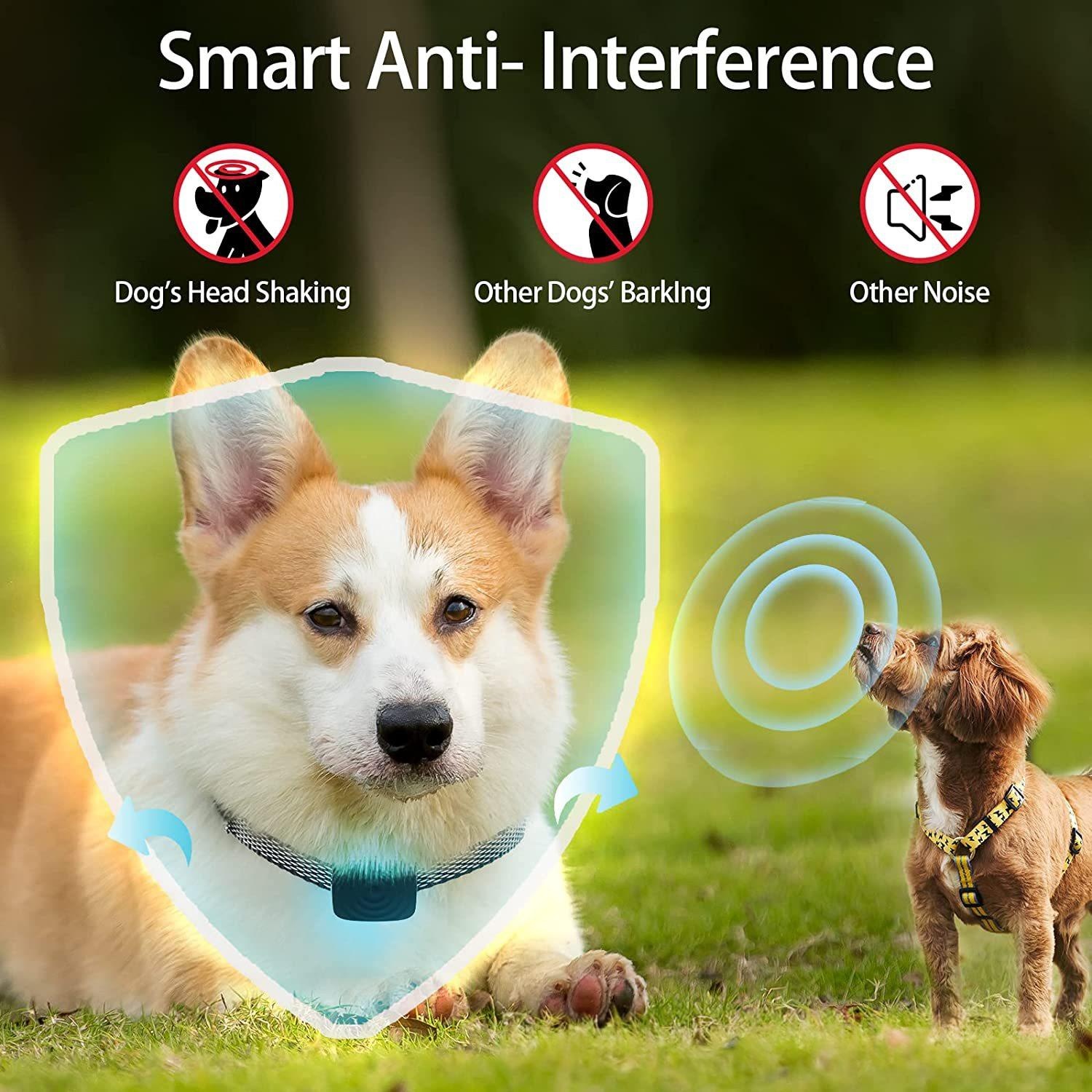 Smart Anti-Bark Dog Collar, Vibration Training Device photo 6
