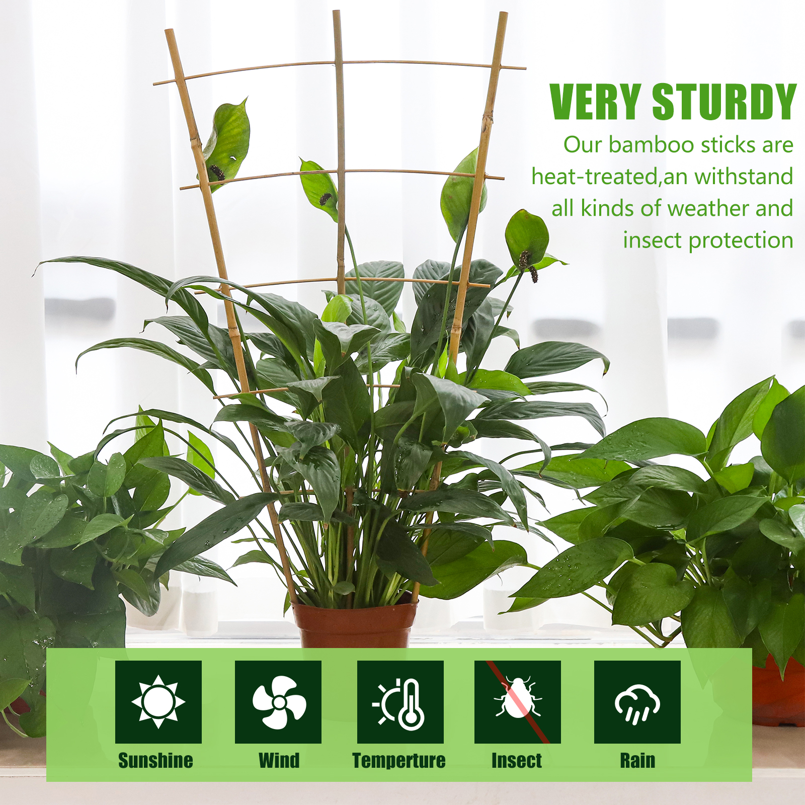 24 Inch Bamboo Garden Trellis , 3 Pack Plant Trellis 2FT For Climbing Plants, Vines, Vegetables, Flowers, Potted Plants, Natural Bamboo Indoor Outdoor Support Self-pickup Only photo 4