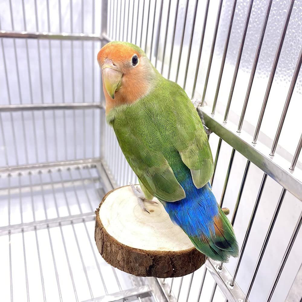 9-Piece Parakeet Toys & Budgie Toys, Bird Cage Accessories Set Natural Wood Bird Toys Include Coconut Hideaway, Swing, Ladder, Perch, Mirror And Hanging Toys For Budgies & Cockatiels photo 5