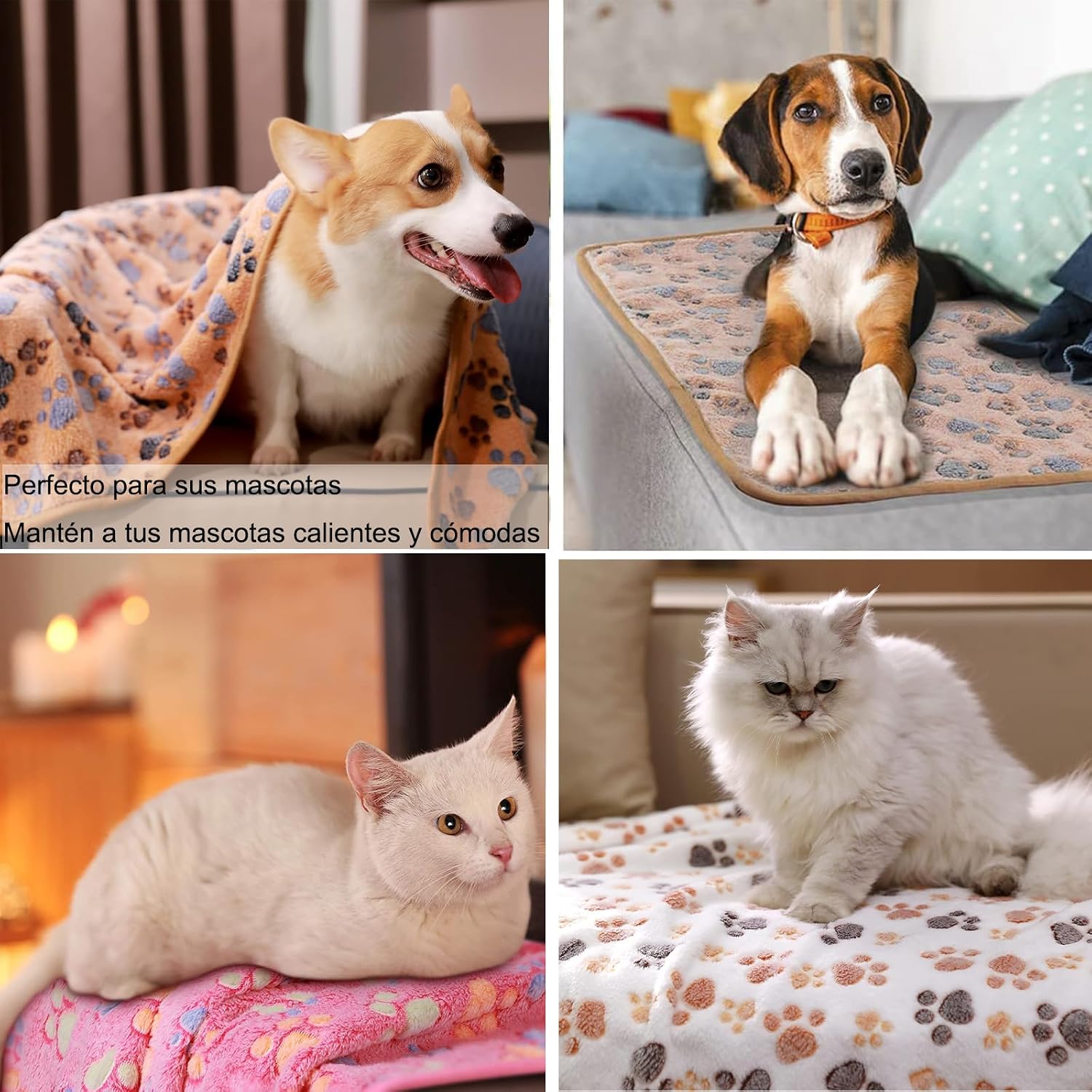 3 Pack Pet Blanket, Soft Plush Paw Print Dog Blanket Washable, Warm Fleece Cat Blanket For Large Medium Dogs, Sofa Couch Bed Cage Protector,23 X 16 In,30 X 20 In,41 X 31 In,47.2 X 39.3 In photo 4