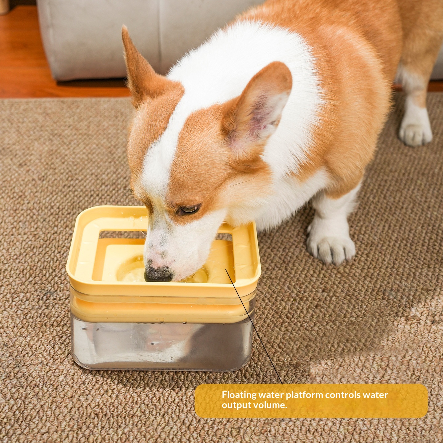 No-Wet Mouth Large-Capacity Automatic Pet Water Dispenser photo 7