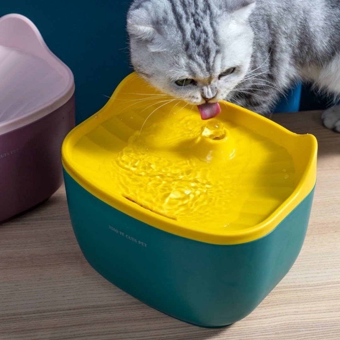 Smart Quiet Circulating Pet Water Fountain photo 3