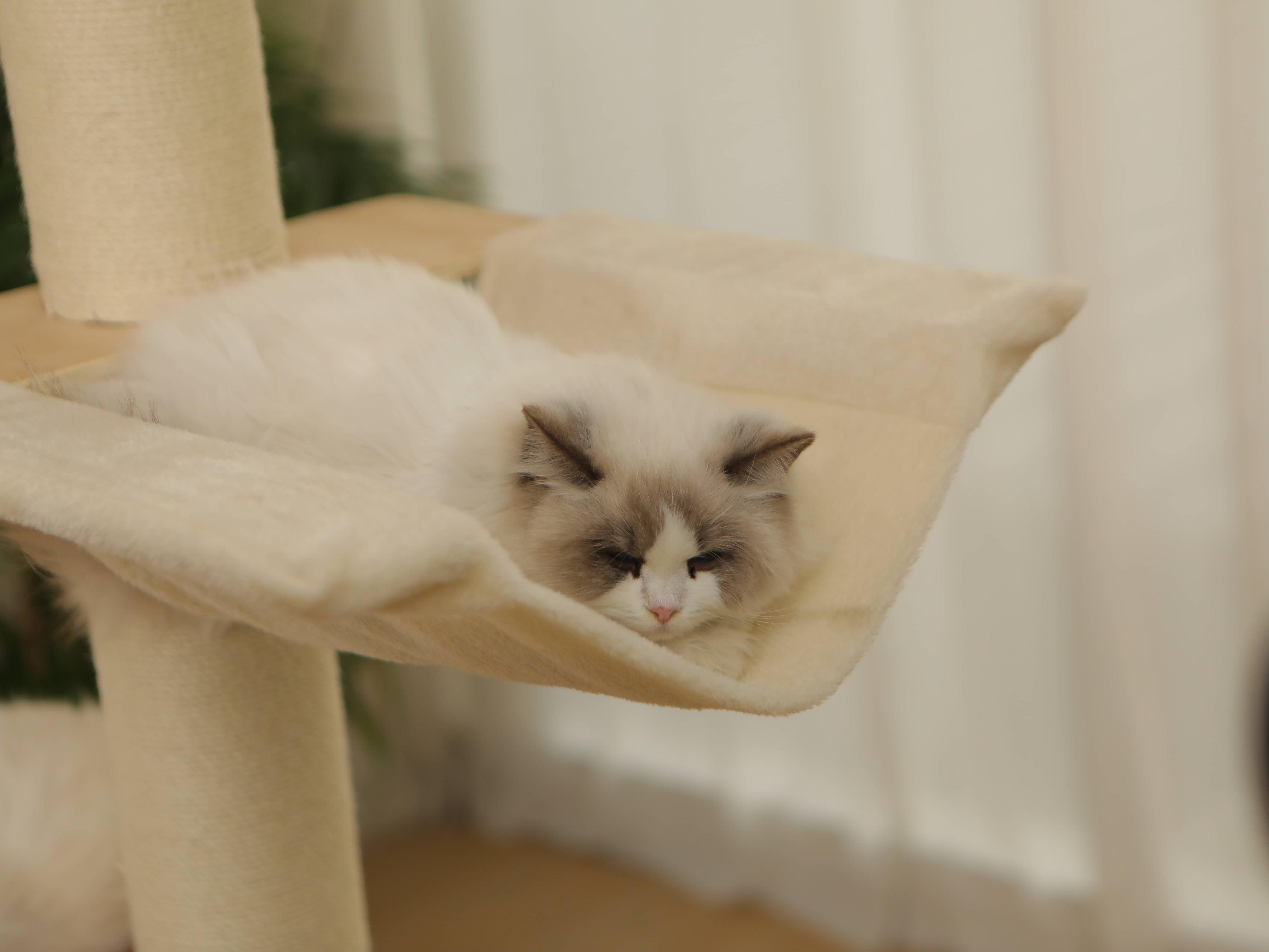 5-Tier Adjustable Cat Tree Tower-Hemp Scratching Post, Perches, Sturdy Indoor-Outdoor Activity Center photo 5