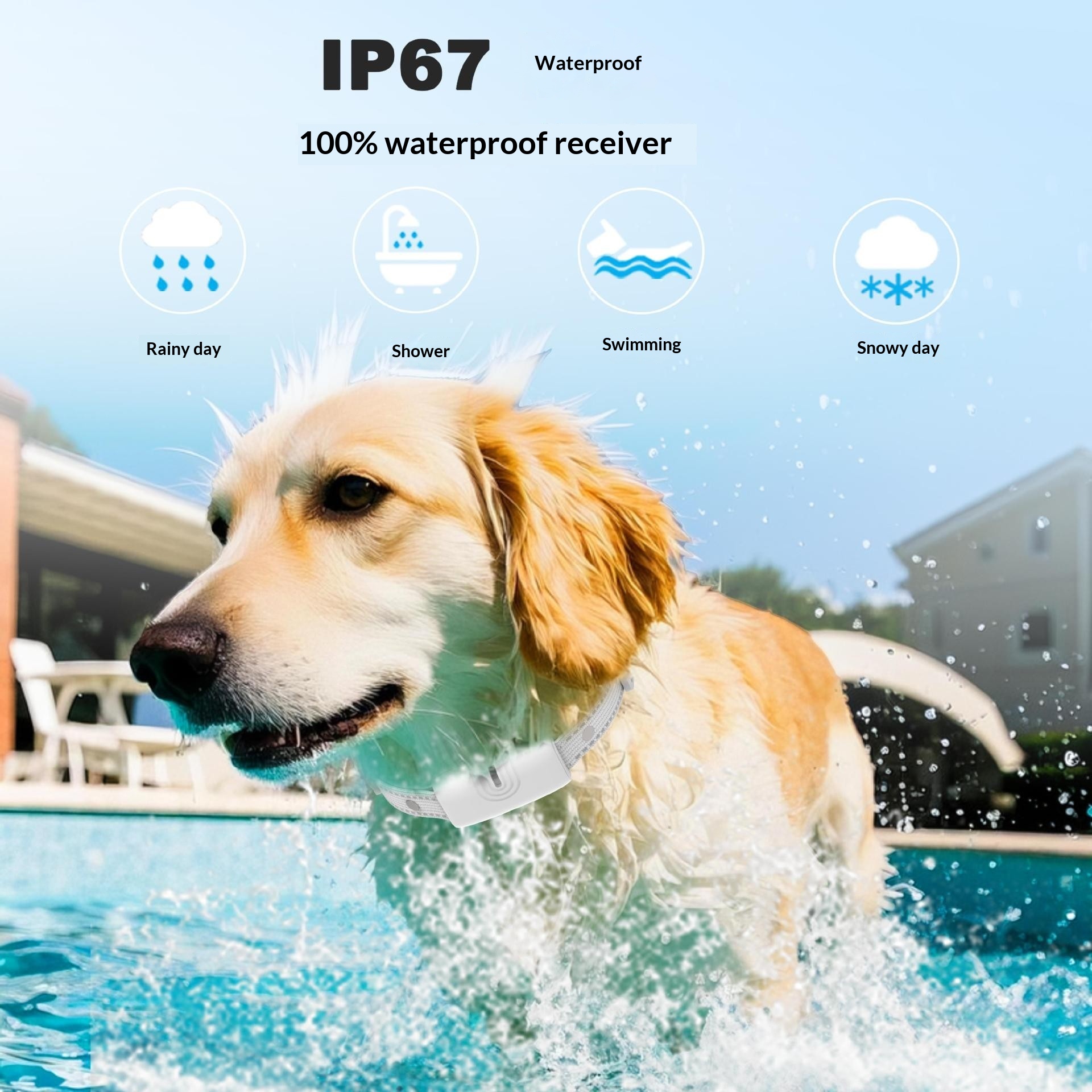Rechargeable Waterproof Long-Range Remote Dog Training Collar photo 5
