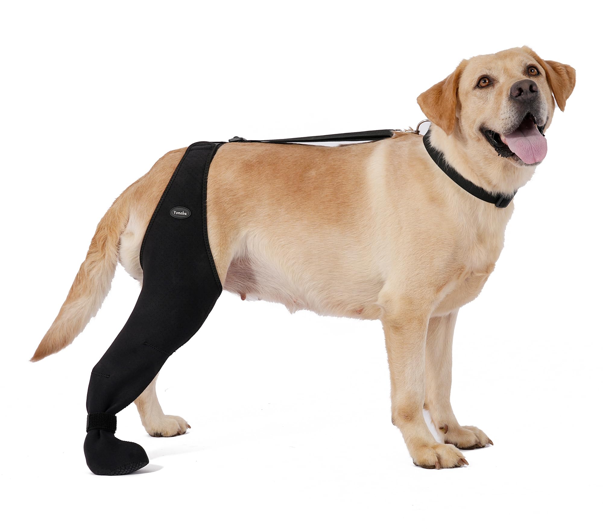Dog Socks To Prevent Licking Paws , Breathable Leg Sleeve To Stop Licking And Biting,  Firm And Secure Adjustable Size Dog Recovery Sleeve Socks photo 5