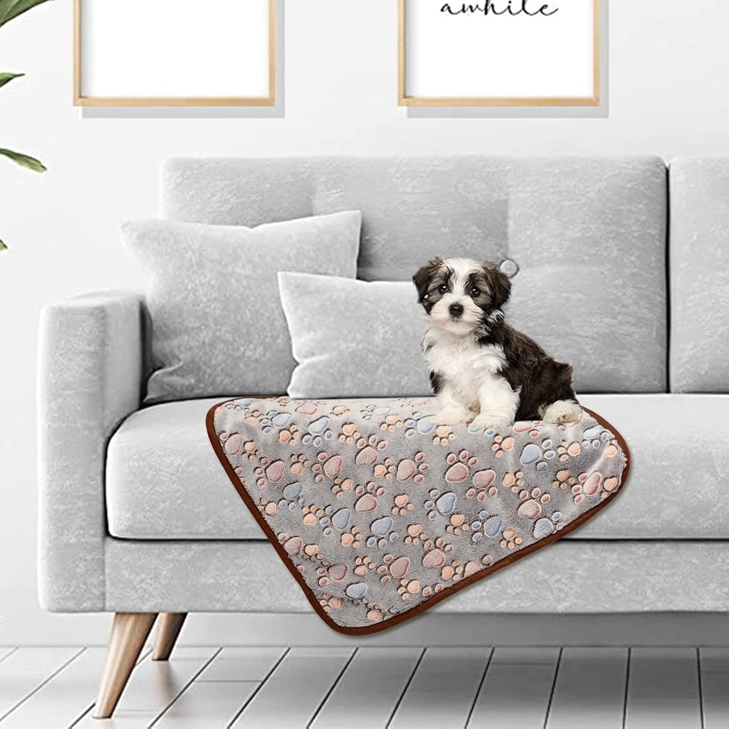 3 Pack Pet Blanket, Soft Plush Paw Print Dog Blanket Washable, Warm Fleece Cat Blanket For Large Medium Dogs, Sofa Couch Bed Cage Protector,23 X 16 In,30 X 20 In,41 X 31 In,47.2 X 39.3 In photo 6