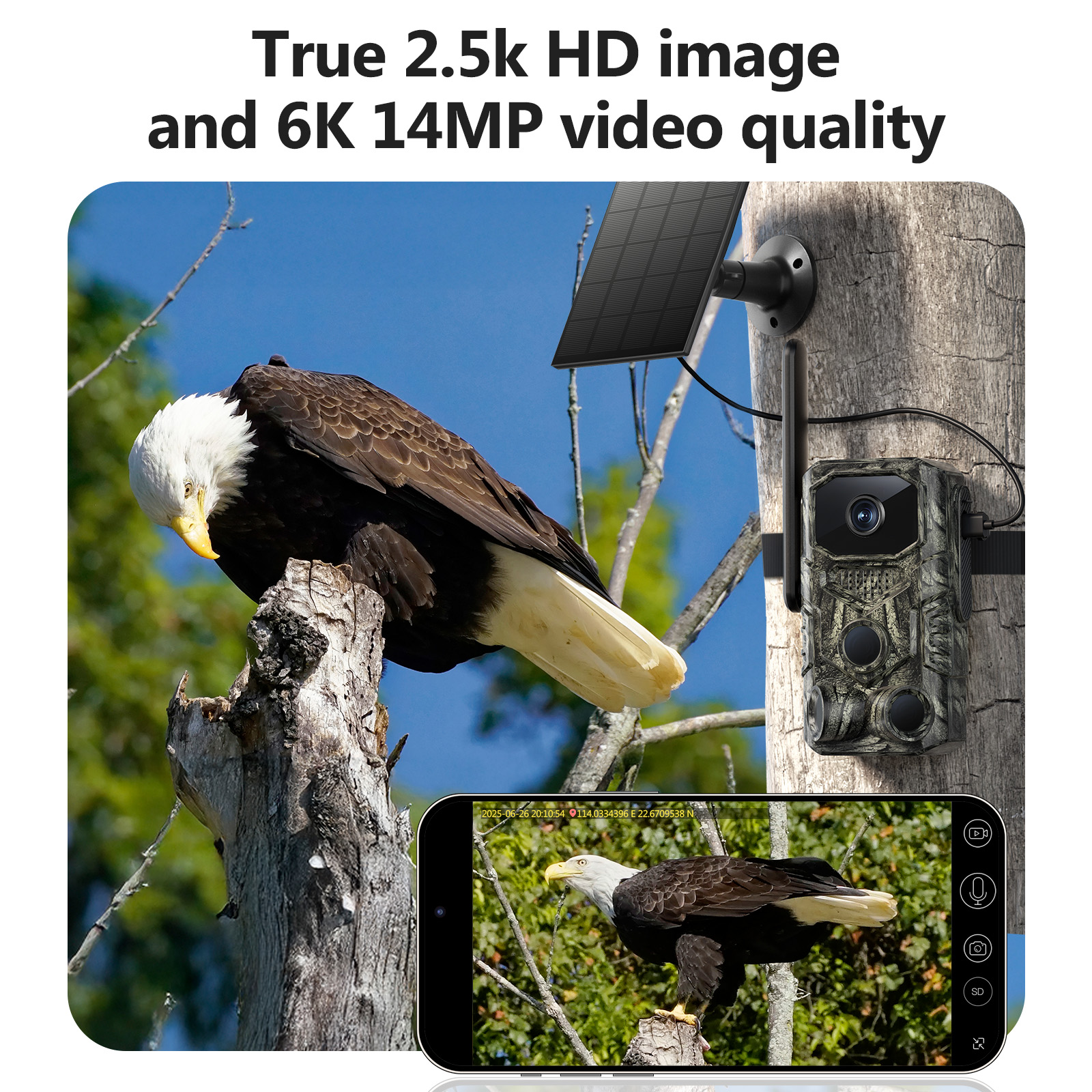 4G GPS Hunting Outdoor Trail Camera Wide Angle 4MP Camouflage Wildlife Deer Monitoring Solar Hunt Camera photo 4