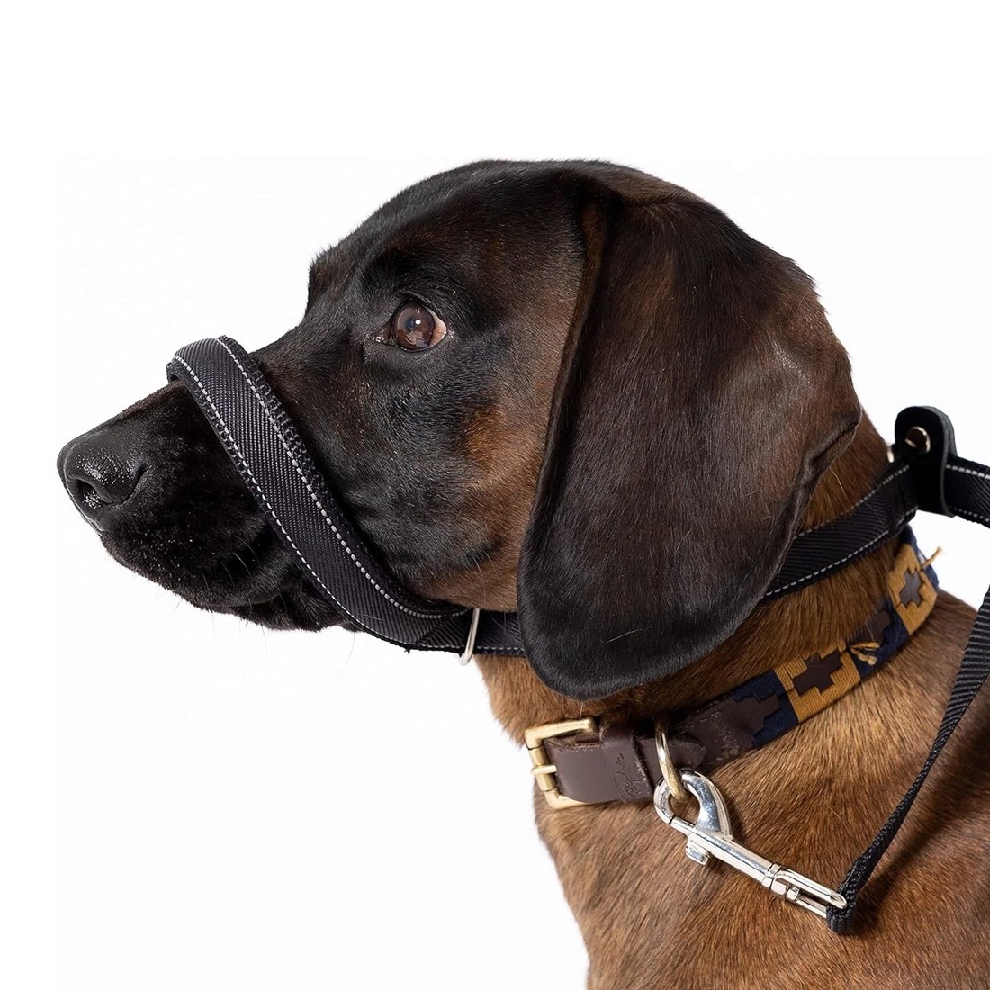 Integrated Anti-Bite Muzzle & Leash For Dogs & Dog Lead And Waste Bag Dispenser photo 3