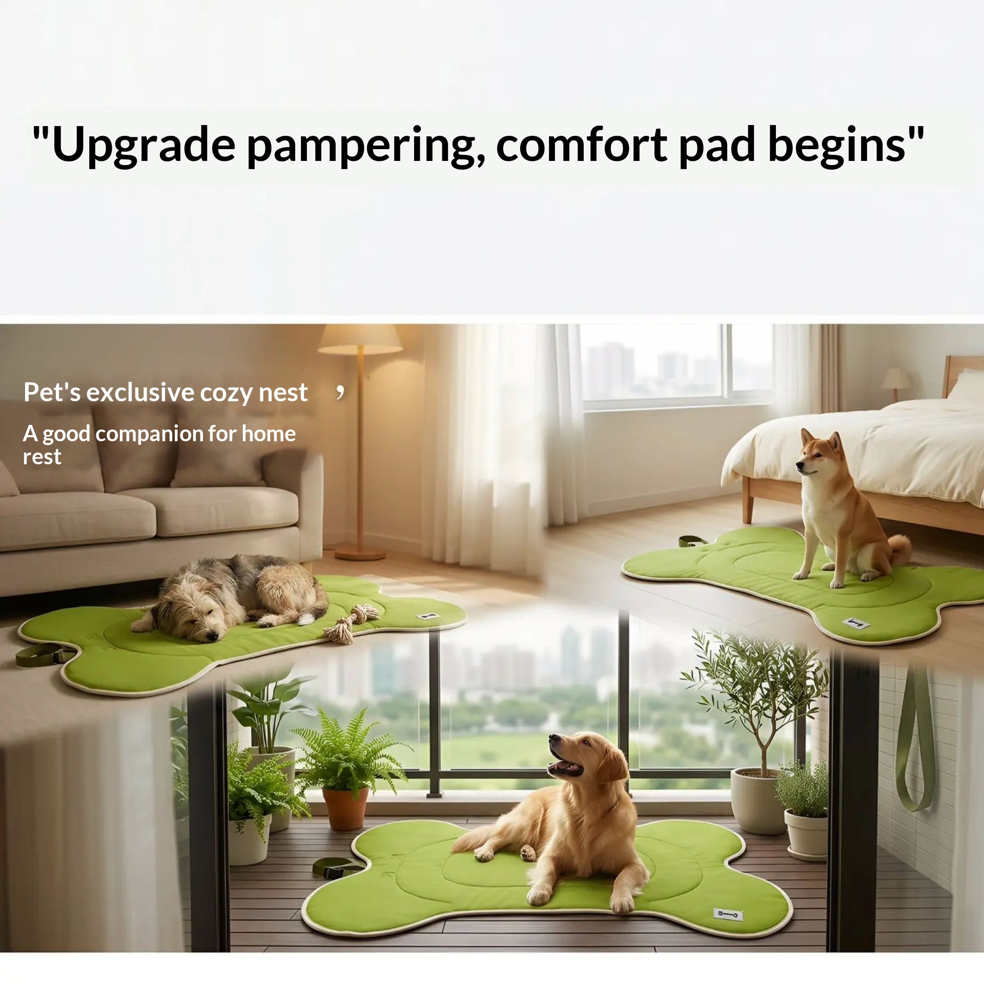 Cross-border Portable Pet Sleeping Mat Multi-scene Four Seasons Universal Dog Climbing Mat Washable Thickened Wear-resistant Breathable Training Mat photo 6