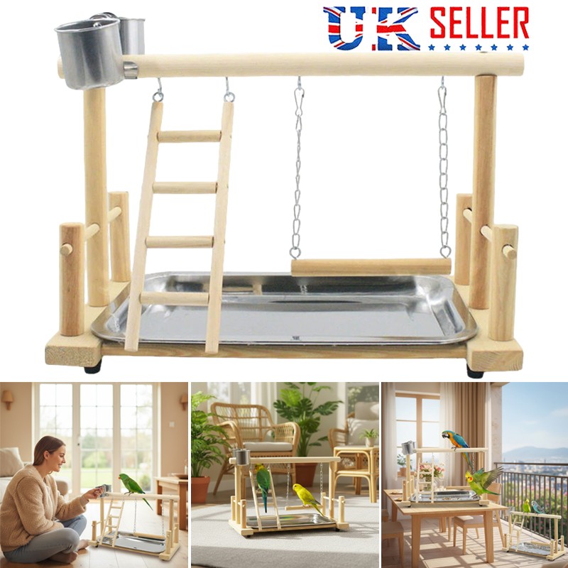 Parrot Playstand Bird Plays Stand Cockatiel Playground Wooden Perch Gym Play photo 8