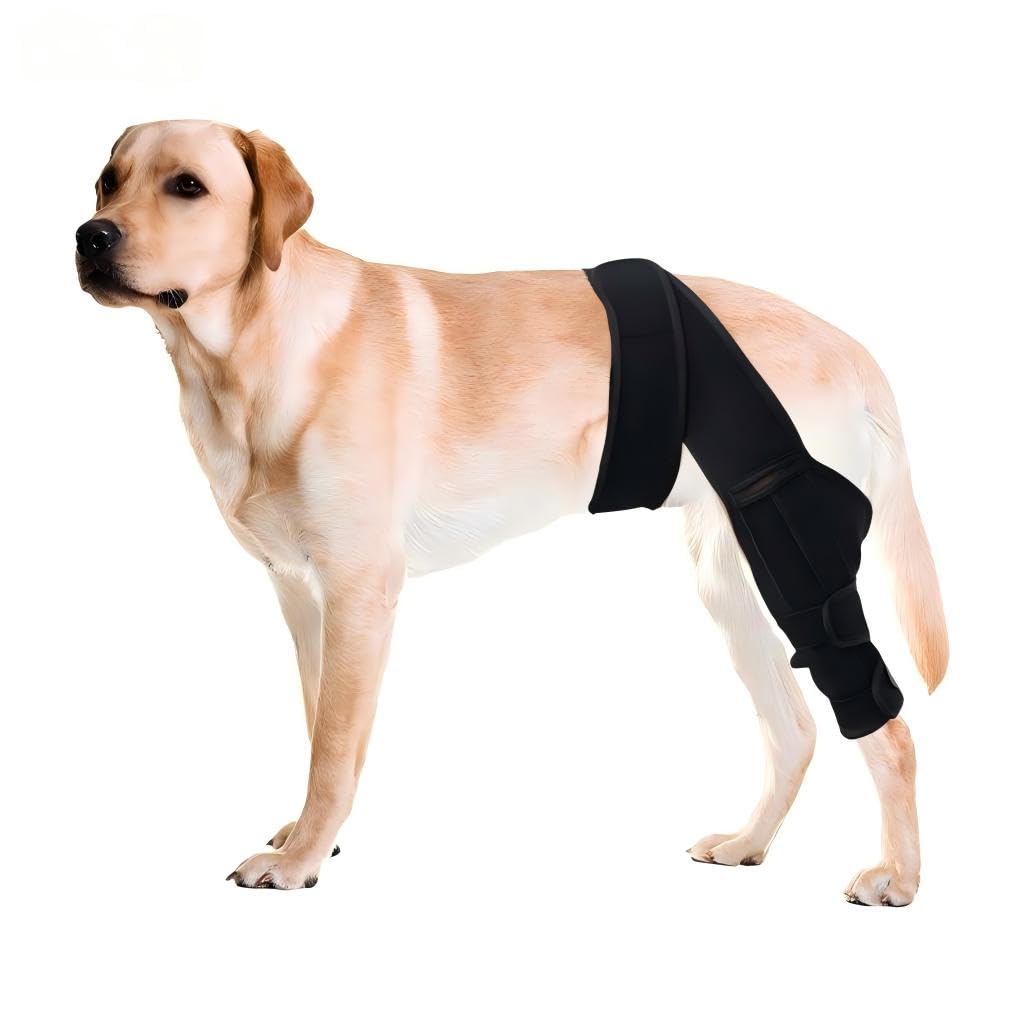 Dog Knee Brace For Torn ACL Hind Leg, Comfortable And Adjustable Support Brace With Two Stabilizer, Dog Leg Braces For Back Leg With Extra Support, Arthritis Relief And Surgery Recovery photo 1