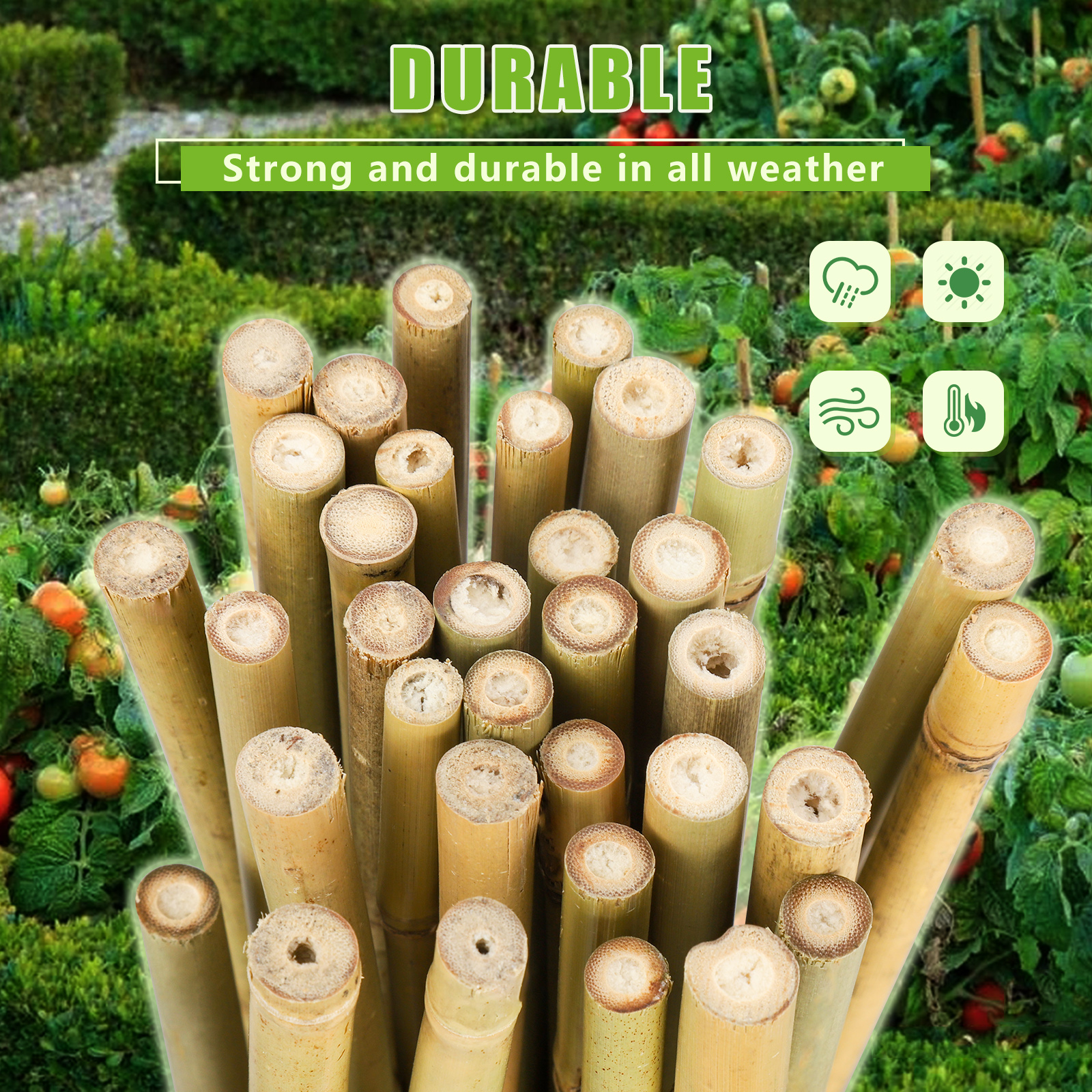 5FT,Diameter 8mm - 10mm Natural Bamboo Plant Stake, Sturdy Bamboo Poles, Durable Plant Bamboo Stake, Garden Climbing Plant Bracket 20pcs. Self-pickup Only photo 3