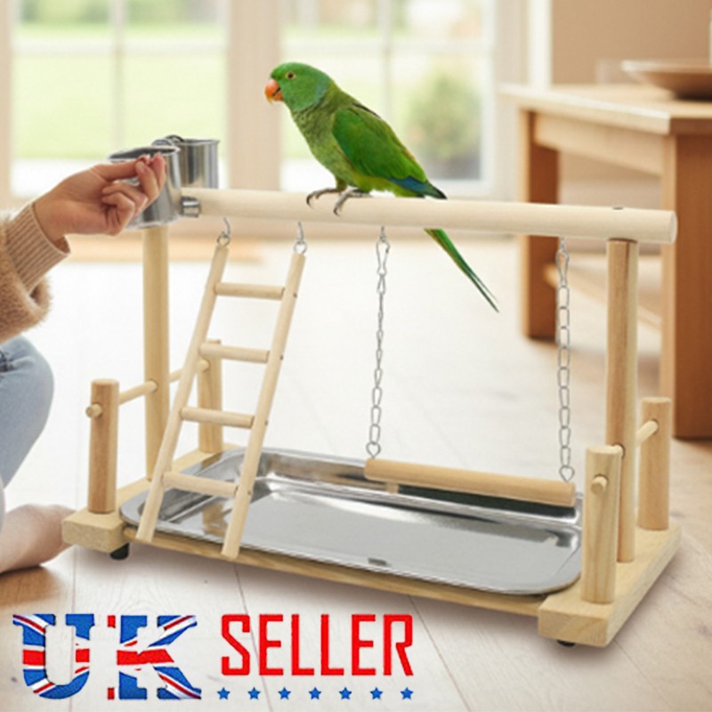 Parrot Playstand Bird Plays Stand Cockatiel Playground Wooden Perch Gym Play photo 7