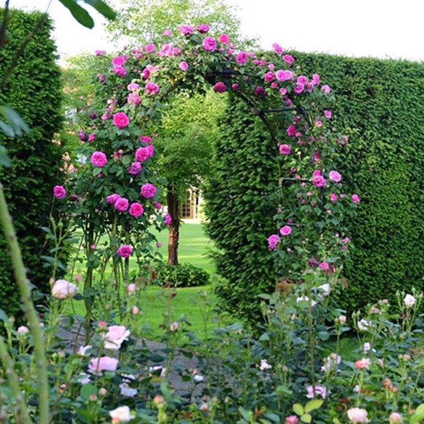 78inch H X 45inch W Metal Garden Arch Trellis,Adjustable Arbor Trellis For Garden Climbing Plants Support photo 5