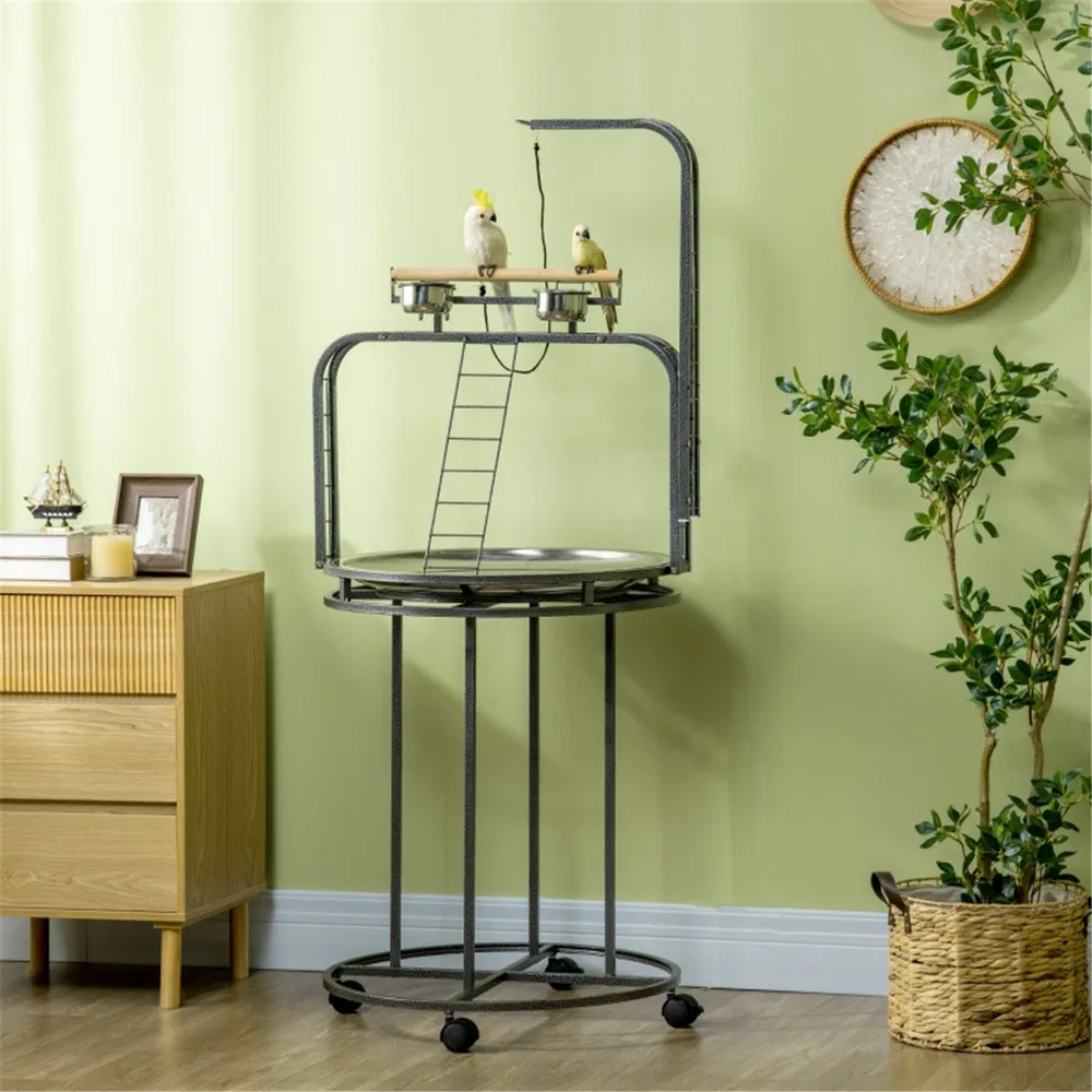 Parrot Stand /Parrot Perch ( Amazon Shipping)(Prohibited by WalMart) photo 8