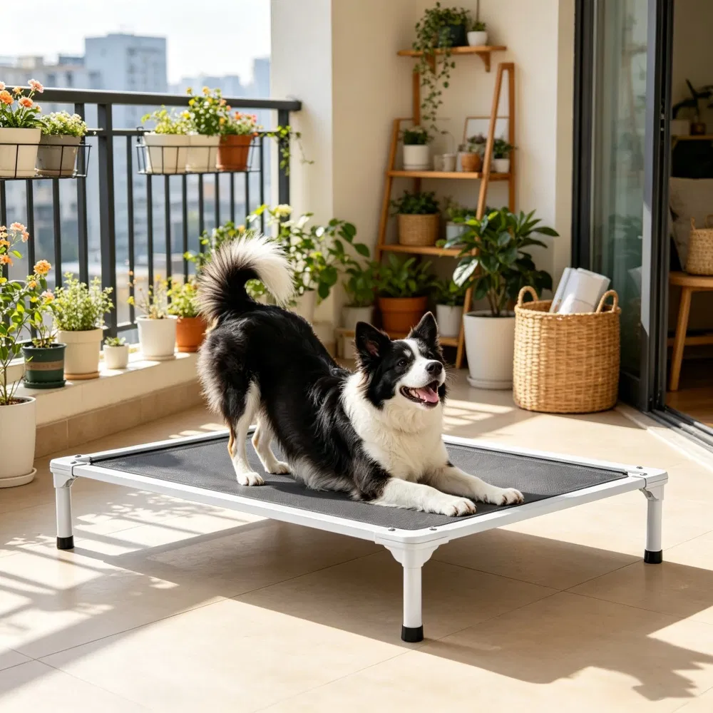 Elevated Dog Bed for Bedroom photo 3