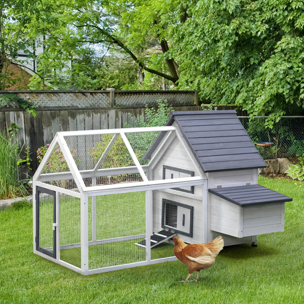Chicken Coop photo 8