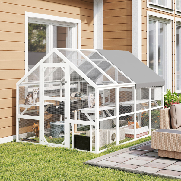 Cat House photo 1