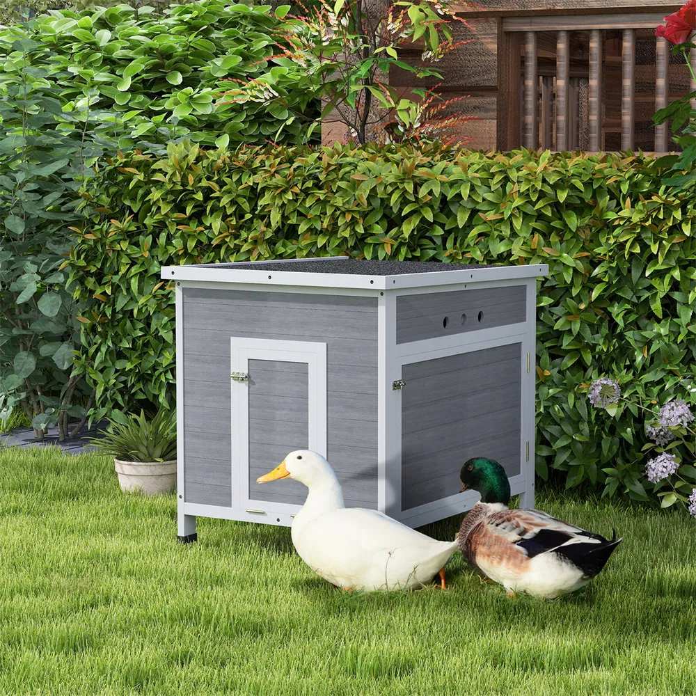 Duck House ( Amazon Shipping)(Prohibited by WalMart) photo 2