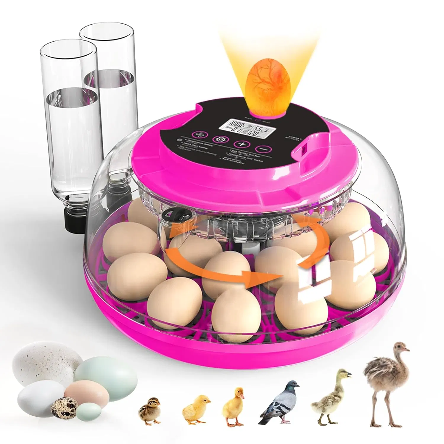 Incubator for Hatching Eggs, 18 Eggs Capacity, Incubators with Egg Candler, Automatic Egg Turner, Temperature & Humidity Control, Full Viewing for Chicken, Duck, Quail, Goose, Parrot, Pigeon photo 1