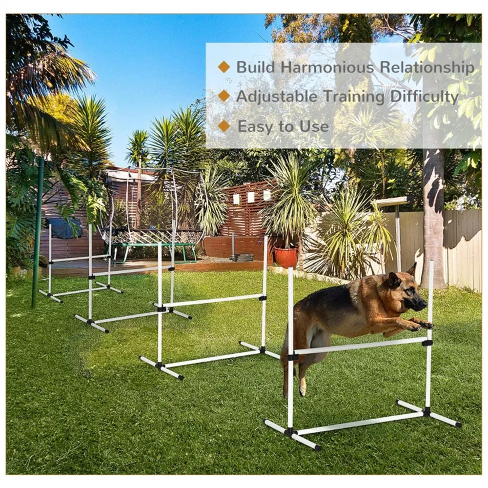 Dog agility training equipment photo 6