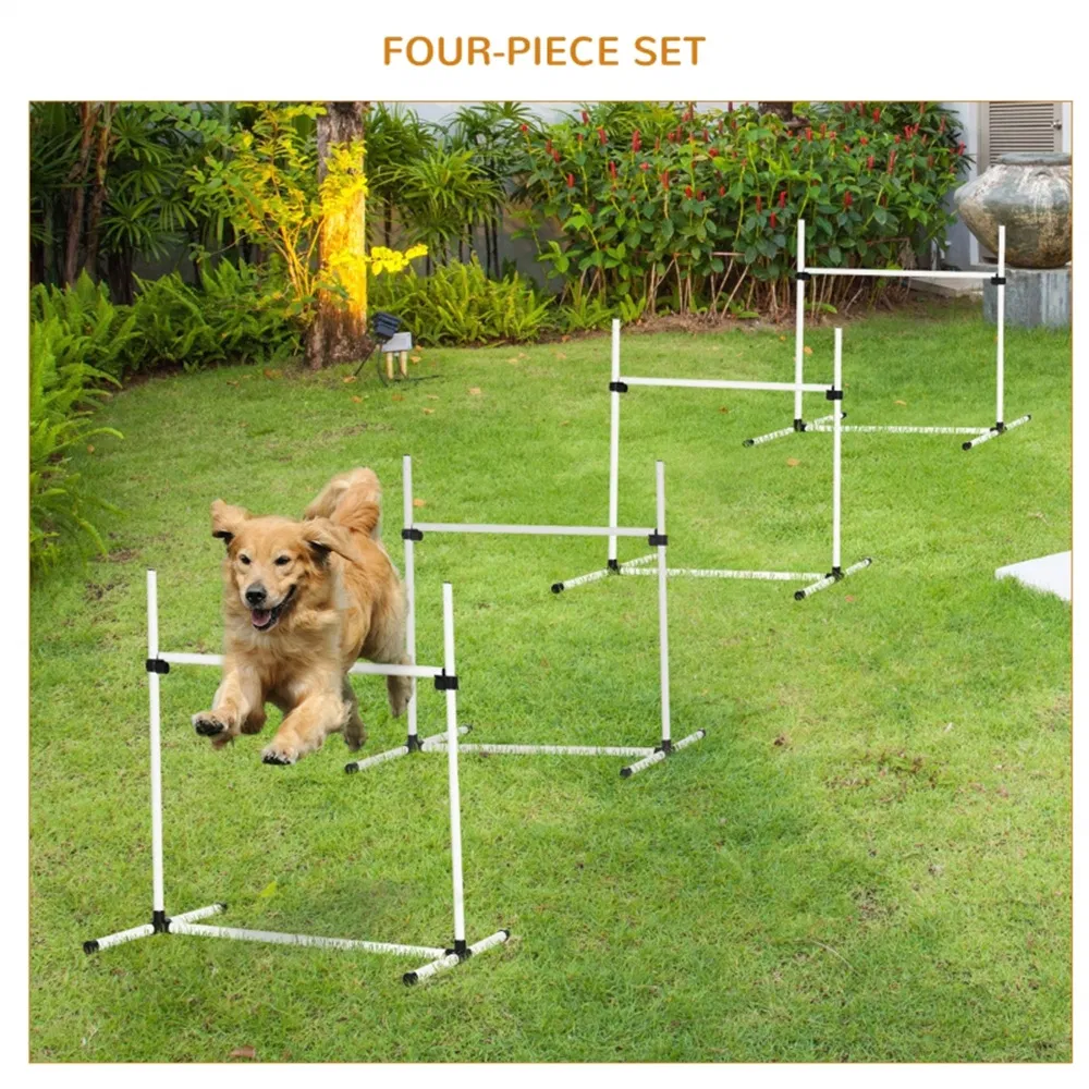 Dog agility training equipment photo 5