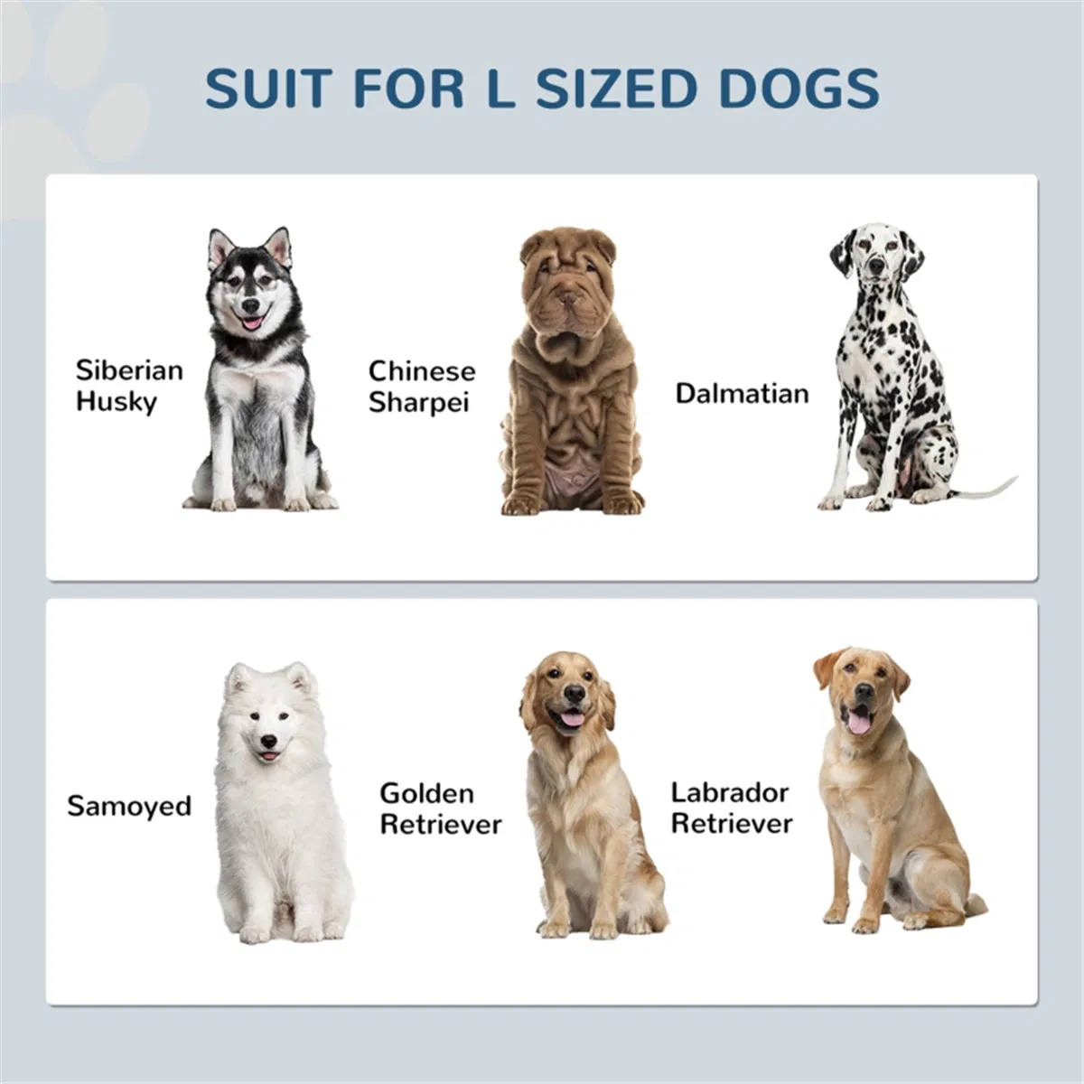 Dog Food Storage Cabinet photo 4