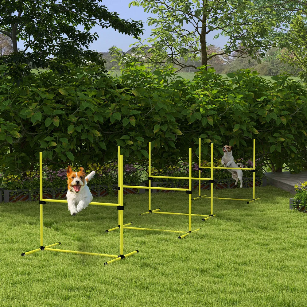 Dog agility training equipment photo 8