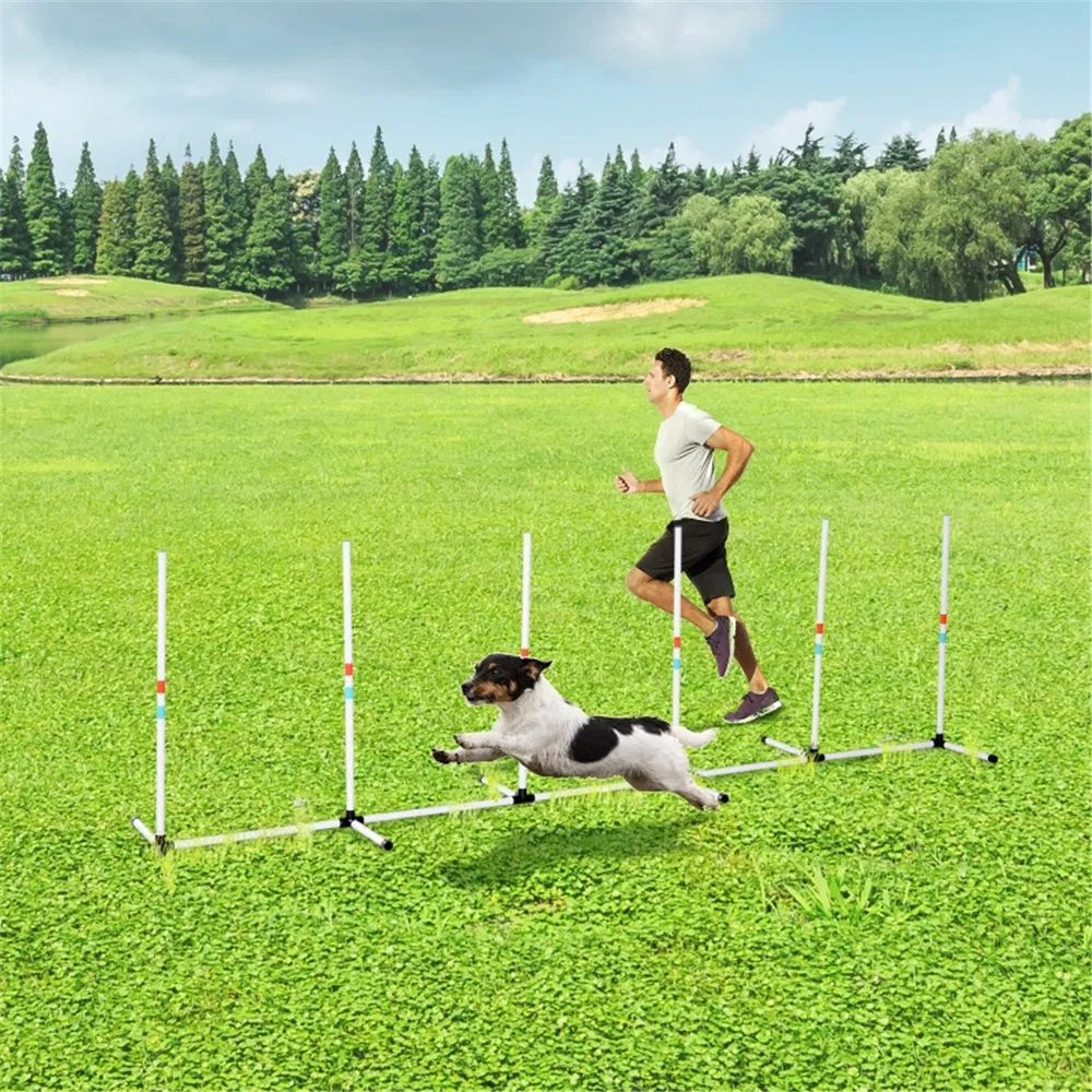 Dog Outdoor Exercise Training Set ( Amazon Shipping)(Prohibited by WalMart) photo 2