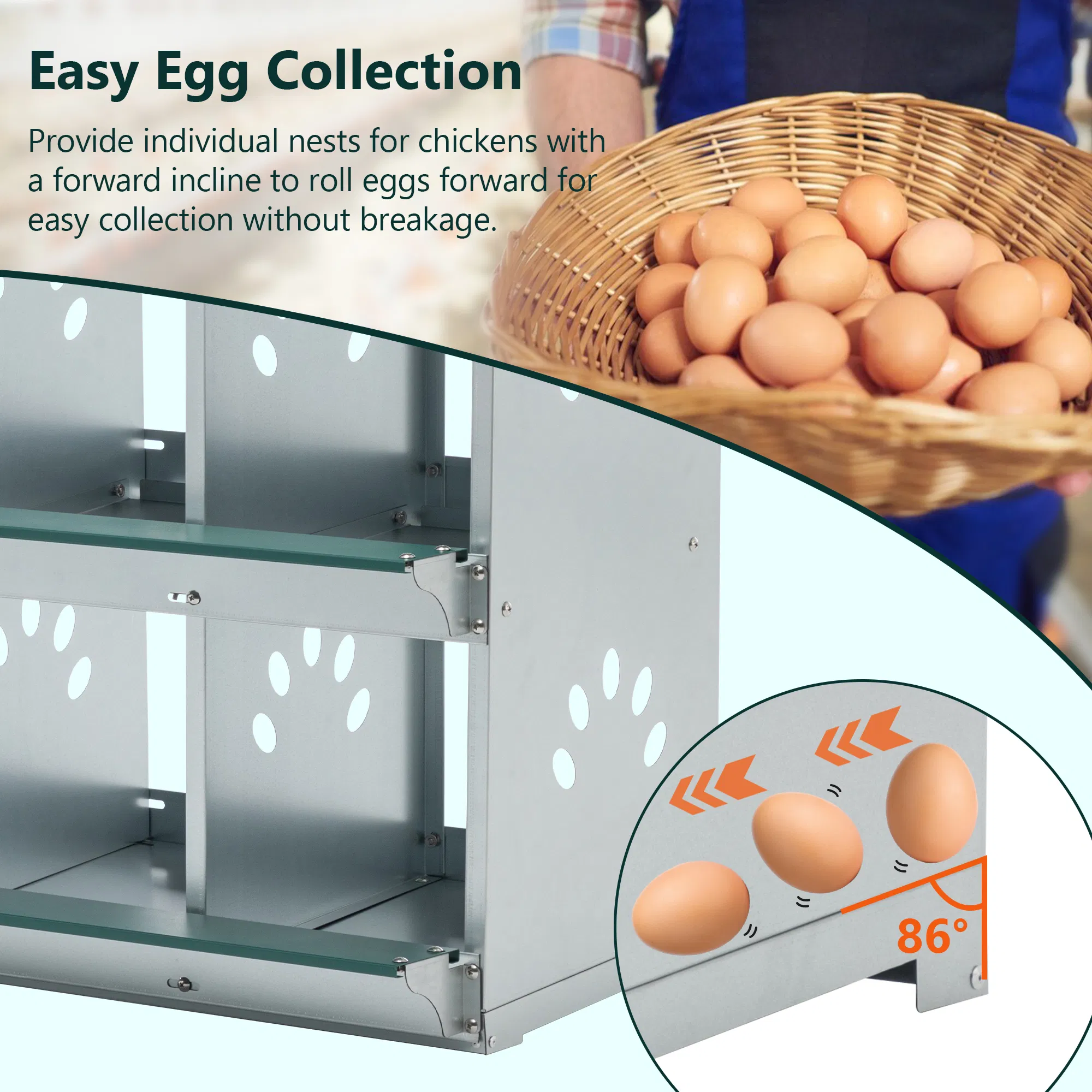 6 Room Metal Chicken Nesting Boxes 6 Compartment Egg Coop photo 3